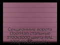 sekczionnyie-vorota-doorhan-stalnyie-3700x3000-czveta-ral-3005-bordovyij-s-dizajnom-«shirokaya-czentralnaya-polosa»-bez-avtomatiki