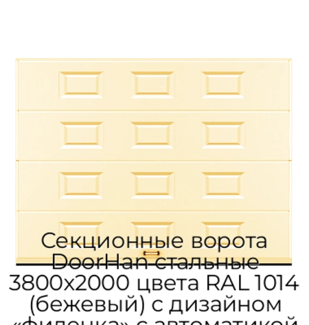 sekczionnyie-vorota-doorhan-stalnyie-3800x2000-czveta-ral-1014-bezhevyij-s-dizajnom-«filenka»-s-avtomatikoj