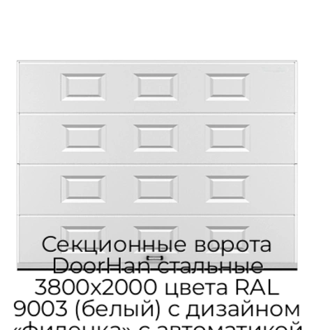 sekczionnyie-vorota-doorhan-stalnyie-3800x2000-czveta-ral-9003-belyij-s-dizajnom-«filenka»-s-avtomatikoj