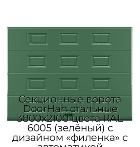 sekczionnyie-vorota-doorhan-stalnyie-3800x2100-czveta-ral-6005-zelyonyij-s-dizajnom-«filenka»-s-avtomatikoj