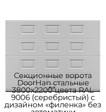 sekczionnyie-vorota-doorhan-stalnyie-3800x2200-czveta-ral-9006-serebristyij-s-dizajnom-«filenka»-bez-avtomatiki