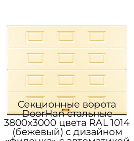 sekczionnyie-vorota-doorhan-stalnyie-3800x3000-czveta-ral-1014-bezhevyij-s-dizajnom-«filenka»-s-avtomatikoj