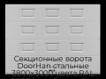 sekczionnyie-vorota-doorhan-stalnyie-3800x3000-czveta-ral-9006-serebristyij-s-dizajnom-«filenka»-s-avtomatikoj