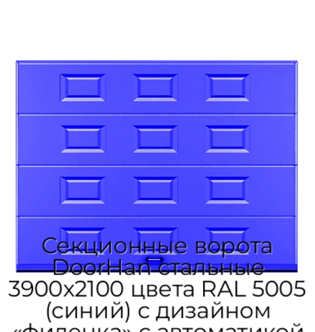 sekczionnyie-vorota-doorhan-stalnyie-3900x2100-czveta-ral-5005-sinij-s-dizajnom-«filenka»-s-avtomatikoj