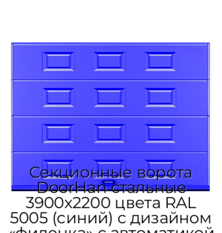 sekczionnyie-vorota-doorhan-stalnyie-3900x2200-czveta-ral-5005-sinij-s-dizajnom-«filenka»-s-avtomatikoj