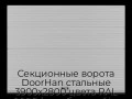 sekczionnyie-vorota-doorhan-stalnyie-3900x2800-czveta-ral-9006-serebristyij-s-dizajnom-«volna»-s-avtomatikoj