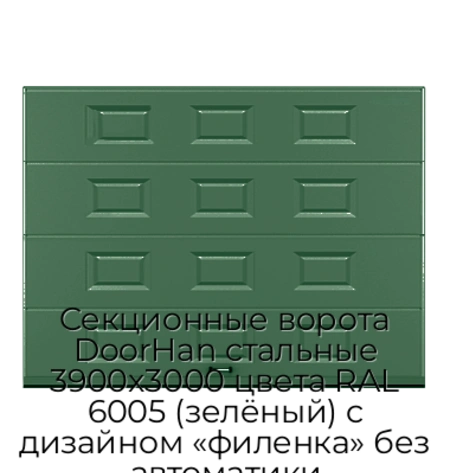 sekczionnyie-vorota-doorhan-stalnyie-3900x3000-czveta-ral-6005-zelyonyij-s-dizajnom-«filenka»-bez-avtomatiki