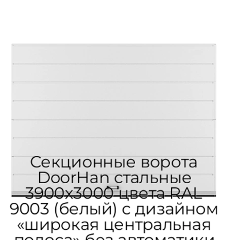 sekczionnyie-vorota-doorhan-stalnyie-3900x3000-czveta-ral-9003-belyij-s-dizajnom-«shirokaya-czentralnaya-polosa»-bez-avtomatiki