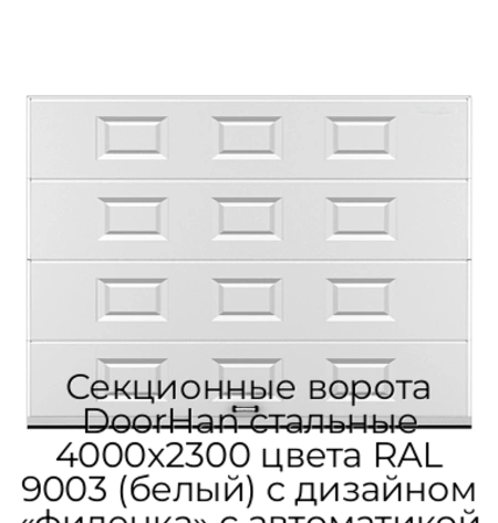 sekczionnyie-vorota-doorhan-stalnyie-4000x2300-czveta-ral-9003-belyij-s-dizajnom-«filenka»-s-avtomatikoj