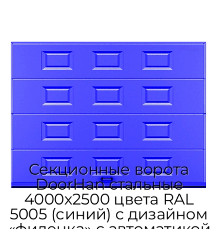 sekczionnyie-vorota-doorhan-stalnyie-4000x2500-czveta-ral-5005-sinij-s-dizajnom-«filenka»-s-avtomatikoj