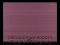 sekczionnyie-vorota-doorhan-stalnyie-4100x2300-czveta-ral-3005-bordovyij-s-dizajnom-«volna»-s-avtomatikoj