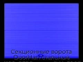 sekczionnyie-vorota-doorhan-stalnyie-4100x2300-czveta-ral-5005-sinij-s-dizajnom-«volna»-s-avtomatikoj