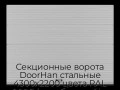 sekczionnyie-vorota-doorhan-stalnyie-4300x2200-czveta-ral-9006-serebristyij-s-dizajnom-«volna»-s-avtomatikoj