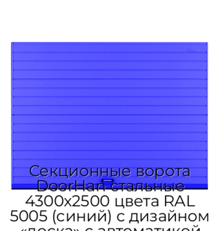 sekczionnyie-vorota-doorhan-stalnyie-4300x2500-czveta-ral-5005-sinij-s-dizajnom-«doska»-s-avtomatikoj