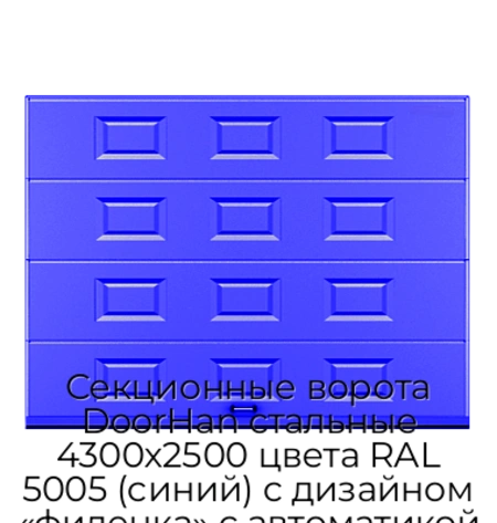 sekczionnyie-vorota-doorhan-stalnyie-4300x2500-czveta-ral-5005-sinij-s-dizajnom-«filenka»-s-avtomatikoj