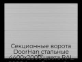 sekczionnyie-vorota-doorhan-stalnyie-4400x2000-czveta-ral-9006-serebristyij-s-dizajnom-«volna»-s-avtomatikoj