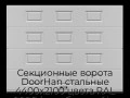 sekczionnyie-vorota-doorhan-stalnyie-4400x2100-czveta-ral-9006-serebristyij-s-dizajnom-«filenka»-s-avtomatikoj