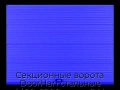 sekczionnyie-vorota-doorhan-stalnyie-4400x2200-czveta-ral-5005-sinij-s-dizajnom-«volna»-s-avtomatikoj