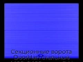 sekczionnyie-vorota-doorhan-stalnyie-4400x2400-czveta-ral-5005-sinij-s-dizajnom-«volna»-s-avtomatikoj