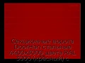 sekczionnyie-vorota-doorhan-stalnyie-4400x3000-czveta-ral-3000-krasnyij-s-dizajnom-«shirokaya-czentralnaya-polosa»-s-avtomatikoj