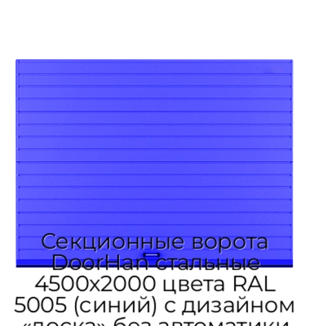 sekczionnyie-vorota-doorhan-stalnyie-4500x2000-czveta-ral-5005-sinij-s-dizajnom-«doska»-bez-avtomatiki