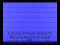 sekczionnyie-vorota-doorhan-stalnyie-4500x2000-czveta-ral-5005-sinij-s-dizajnom-«shirokaya-czentralnaya-polosa»-s-avtomatikoj