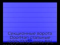 sekczionnyie-vorota-doorhan-stalnyie-4500x2200-czveta-ral-5005-sinij-s-dizajnom-«shirokaya-czentralnaya-polosa»-bez-avtomatiki