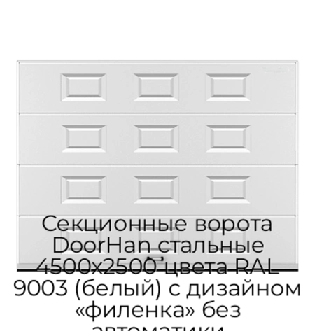 sekczionnyie-vorota-doorhan-stalnyie-4500x2500-czveta-ral-9003-belyij-s-dizajnom-«filenka»-bez-avtomatiki