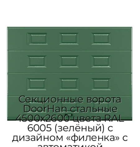 sekczionnyie-vorota-doorhan-stalnyie-4500x2600-czveta-ral-6005-zelyonyij-s-dizajnom-«filenka»-s-avtomatikoj