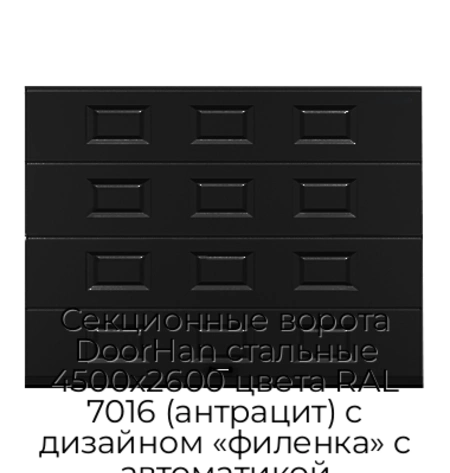 sekczionnyie-vorota-doorhan-stalnyie-4500x2600-czveta-ral-7016-antraczit-s-dizajnom-«filenka»-s-avtomatikoj