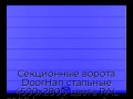 sekczionnyie-vorota-doorhan-stalnyie-4500x2800-czveta-ral-5005-sinij-s-dizajnom-«shirokaya-czentralnaya-polosa»-s-avtomatikoj