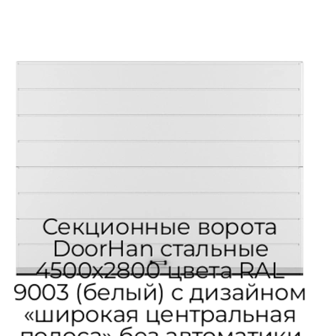 sekczionnyie-vorota-doorhan-stalnyie-4500x2800-czveta-ral-9003-belyij-s-dizajnom-«shirokaya-czentralnaya-polosa»-bez-avtomatiki