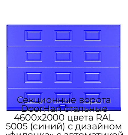 sekczionnyie-vorota-doorhan-stalnyie-4600x2000-czveta-ral-5005-sinij-s-dizajnom-«filenka»-s-avtomatikoj