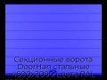 sekczionnyie-vorota-doorhan-stalnyie-4600x2000-czveta-ral-5005-sinij-s-dizajnom-«shirokaya-czentralnaya-polosa»-s-avtomatikoj