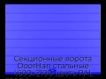 sekczionnyie-vorota-doorhan-stalnyie-4600x2100-czveta-ral-5005-sinij-s-dizajnom-«shirokaya-czentralnaya-polosa»-s-avtomatikoj