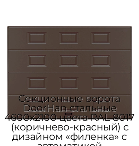 sekczionnyie-vorota-doorhan-stalnyie-4600x2100-czveta-ral-8017-korichnevo-krasnyij-s-dizajnom-«filenka»-s-avtomatikoj