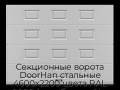 sekczionnyie-vorota-doorhan-stalnyie-4600x2200-czveta-ral-9006-serebristyij-s-dizajnom-«filenka»-s-avtomatikoj