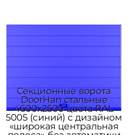 sekczionnyie-vorota-doorhan-stalnyie-4600x2500-czveta-ral-5005-sinij-s-dizajnom-«shirokaya-czentralnaya-polosa»-bez-avtomatiki