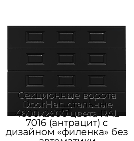 sekczionnyie-vorota-doorhan-stalnyie-4600x2600-czveta-ral-7016-antraczit-s-dizajnom-«filenka»-bez-avtomatiki
