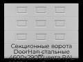 sekczionnyie-vorota-doorhan-stalnyie-4600x2900-czveta-ral-9006-serebristyij-s-dizajnom-«filenka»-s-avtomatikoj