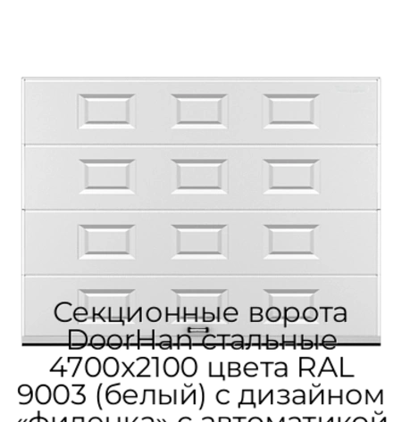 sekczionnyie-vorota-doorhan-stalnyie-4700x2100-czveta-ral-9003-belyij-s-dizajnom-«filenka»-s-avtomatikoj