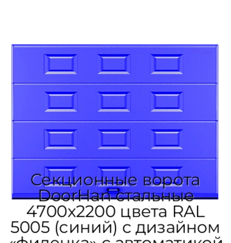 sekczionnyie-vorota-doorhan-stalnyie-4700x2200-czveta-ral-5005-sinij-s-dizajnom-«filenka»-s-avtomatikoj