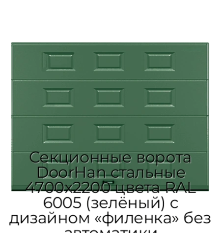 sekczionnyie-vorota-doorhan-stalnyie-4700x2200-czveta-ral-6005-zelyonyij-s-dizajnom-«filenka»-bez-avtomatiki