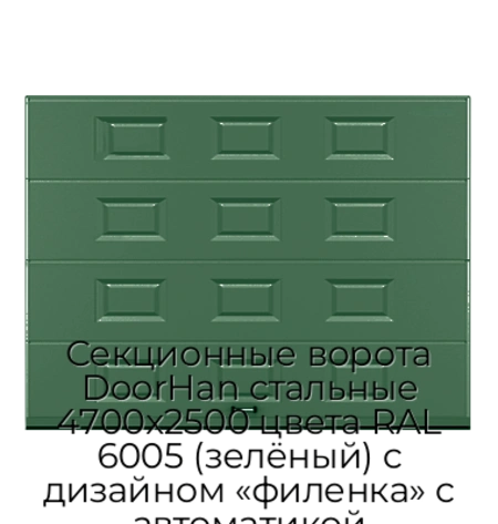 sekczionnyie-vorota-doorhan-stalnyie-4700x2500-czveta-ral-6005-zelyonyij-s-dizajnom-«filenka»-s-avtomatikoj