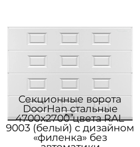 sekczionnyie-vorota-doorhan-stalnyie-4700x2700-czveta-ral-9003-belyij-s-dizajnom-«filenka»-bez-avtomatiki
