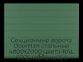 sekczionnyie-vorota-doorhan-stalnyie-4800x2000-czveta-ral-6005-zelyonyij-s-dizajnom-«shirokaya-czentralnaya-polosa»-s-avtomatikoj