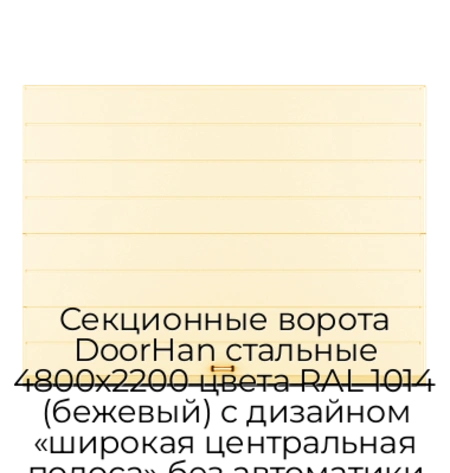 sekczionnyie-vorota-doorhan-stalnyie-4800x2200-czveta-ral-1014-bezhevyij-s-dizajnom-«shirokaya-czentralnaya-polosa»-bez-avtomatiki