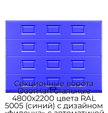 sekczionnyie-vorota-doorhan-stalnyie-4800x2200-czveta-ral-5005-sinij-s-dizajnom-«filenka»-s-avtomatikoj