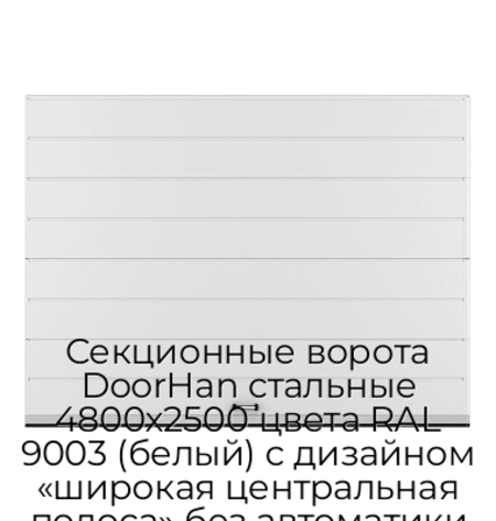 sekczionnyie-vorota-doorhan-stalnyie-4800x2500-czveta-ral-9003-belyij-s-dizajnom-«shirokaya-czentralnaya-polosa»-bez-avtomatiki