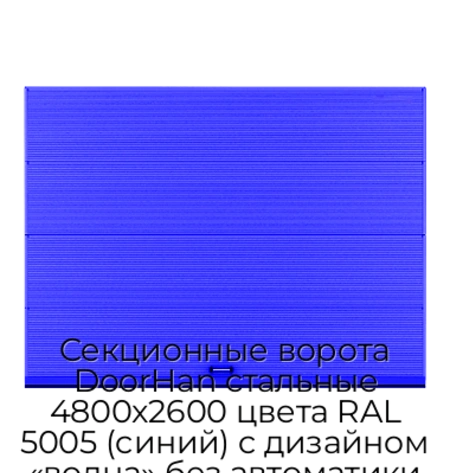 sekczionnyie-vorota-doorhan-stalnyie-4800x2600-czveta-ral-5005-sinij-s-dizajnom-«volna»-bez-avtomatiki